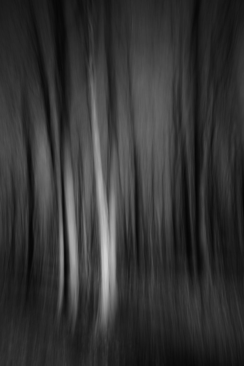 _DOR2495_DxO2-3.jpg