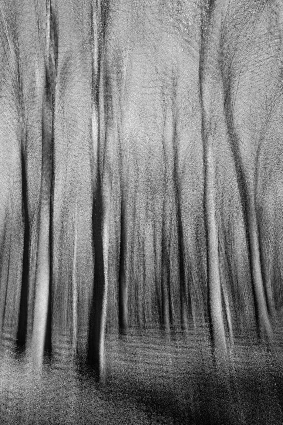 _DOR2524_DxO2.jpg