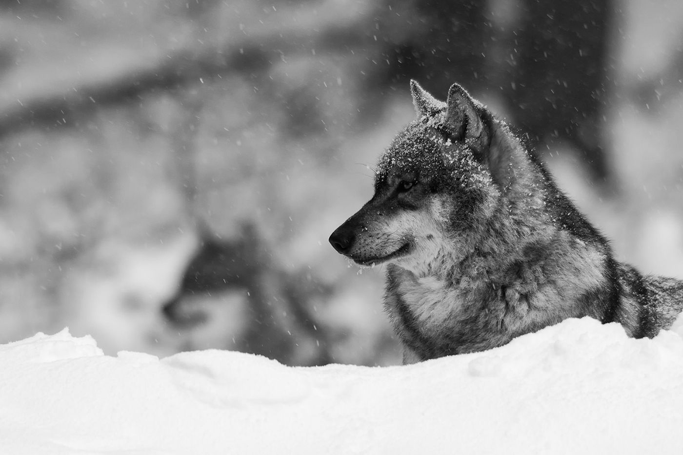 DSC_3680.jpg
