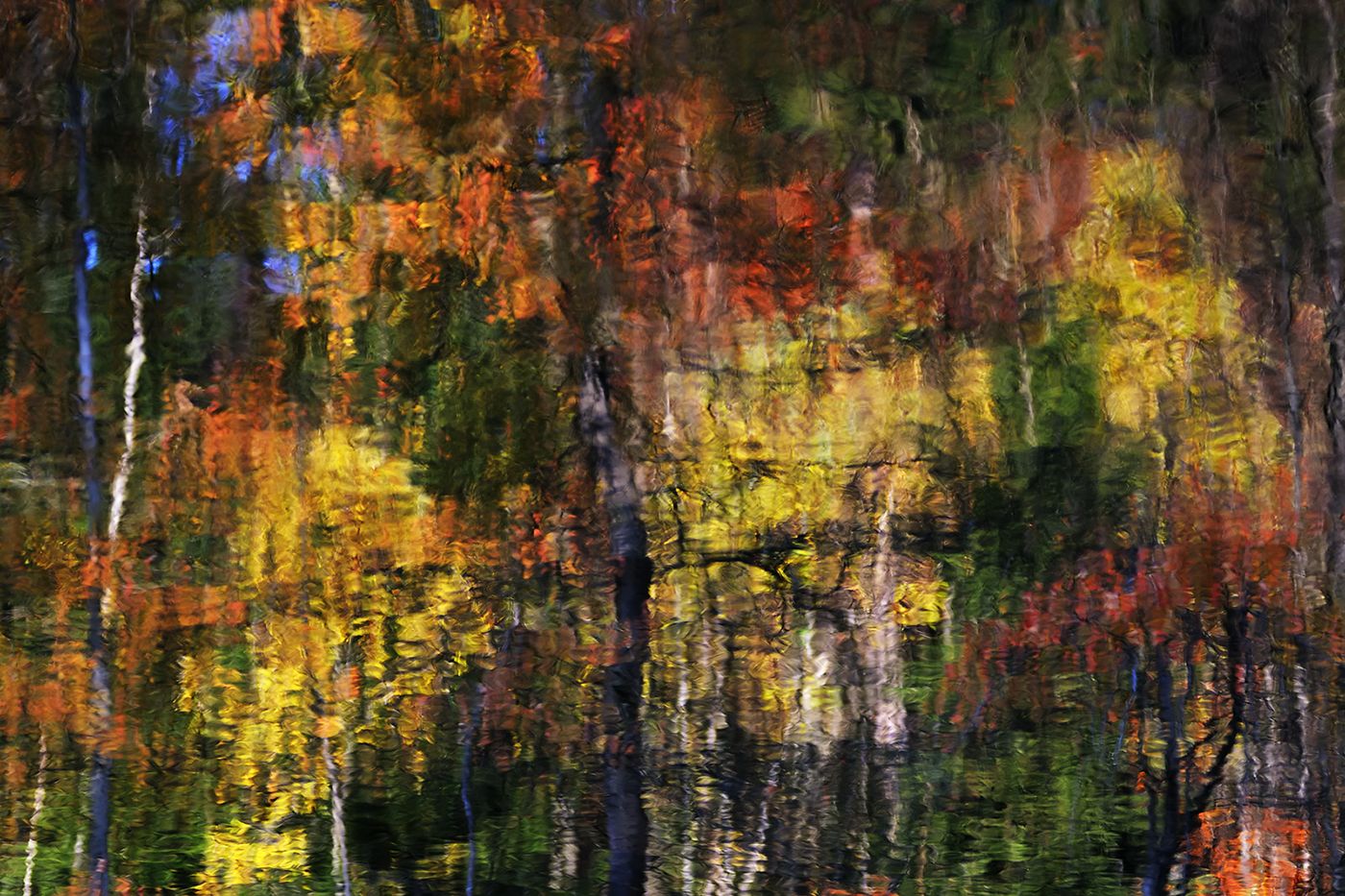 K8_Autumn_colours2.jpg