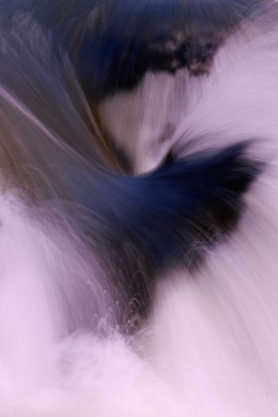 _DOR6336.jpg