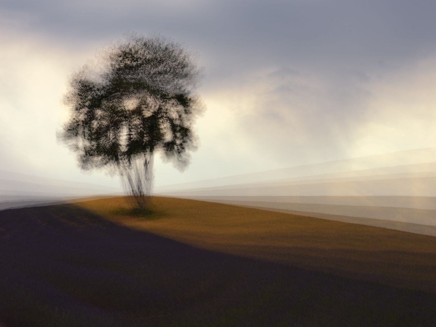 _Alone-4.jpg
