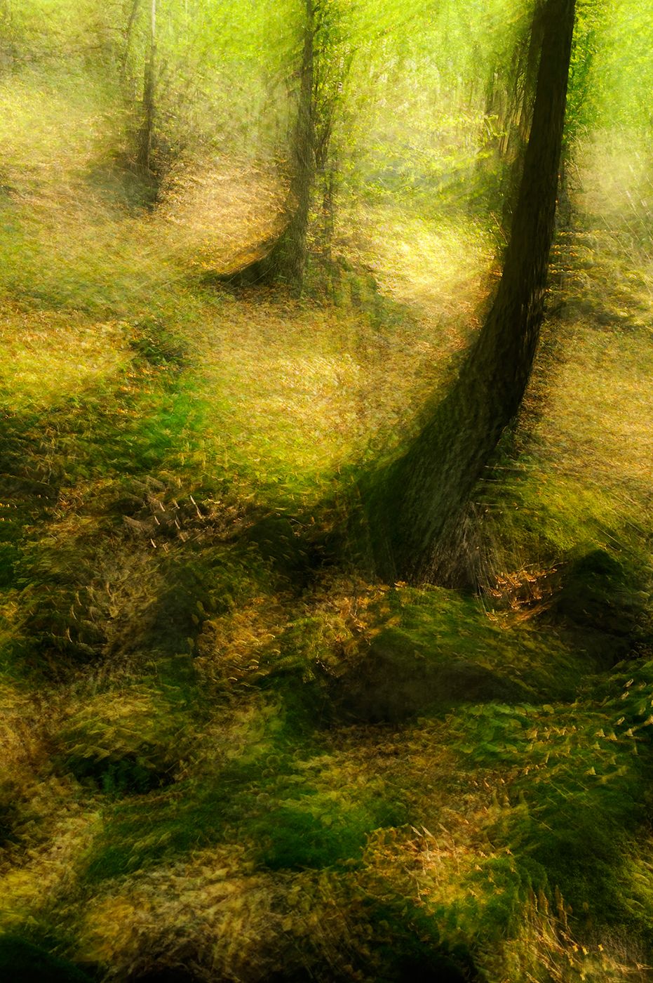 _DOR0881-1R3.jpg