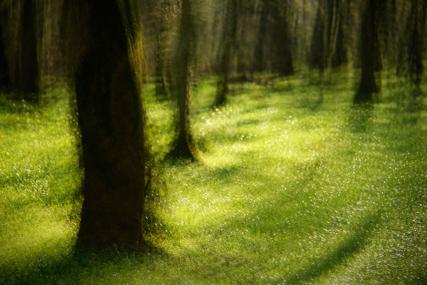 _DOR2555_DxO2.jpg