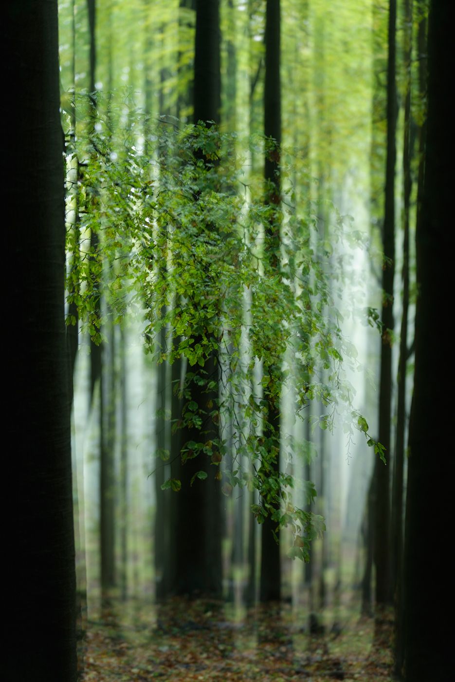 _DOR8580_DxO.jpg