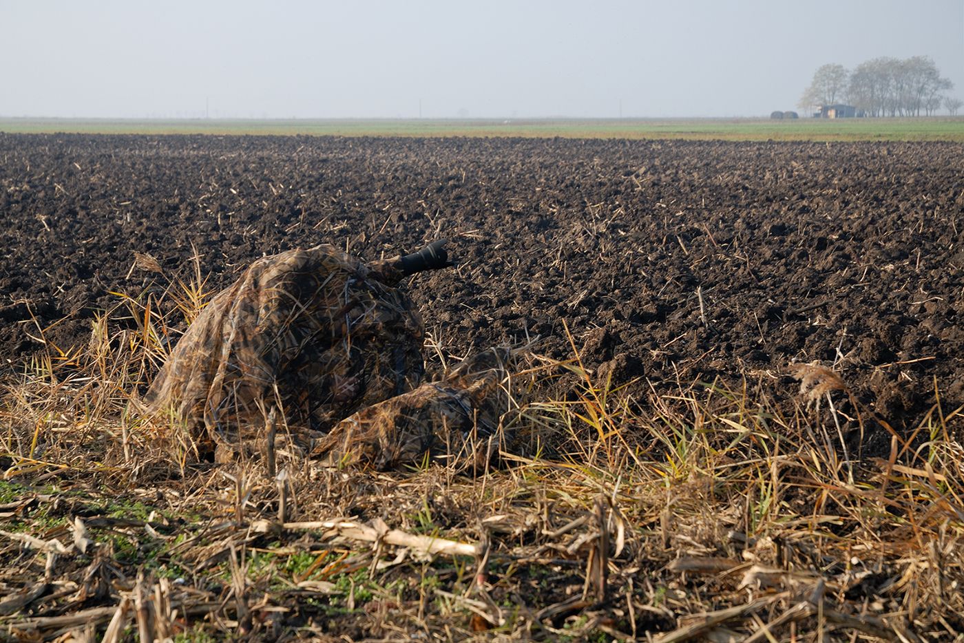 DOR_5348-1.jpg